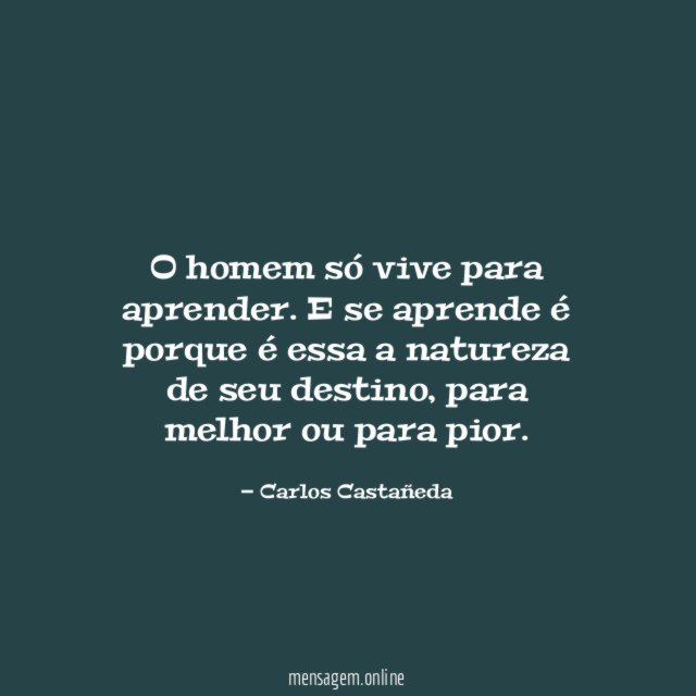 O homem só vive para aprender