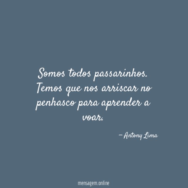 Somos todos passarinhos