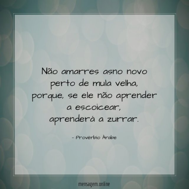 Não amarres asno novo perto de mula velha