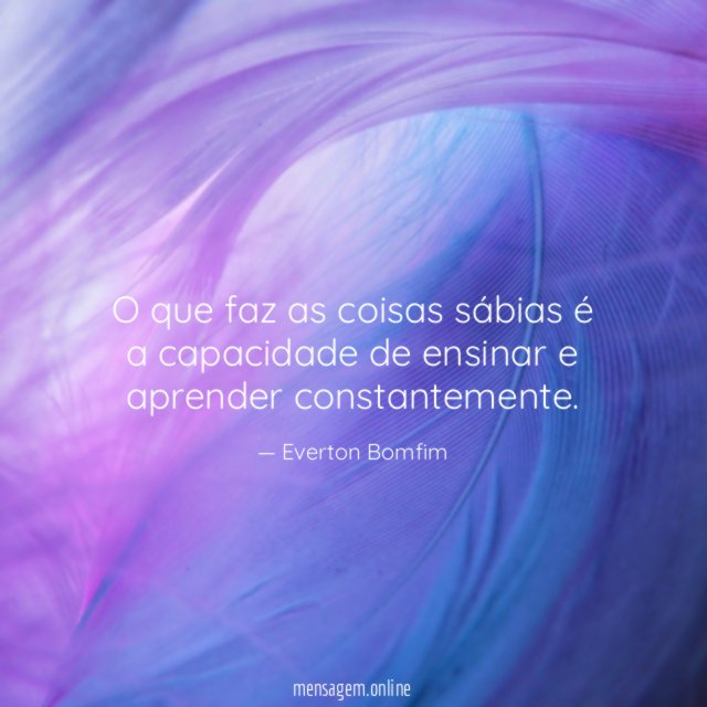 O que faz as coisas sábias é a