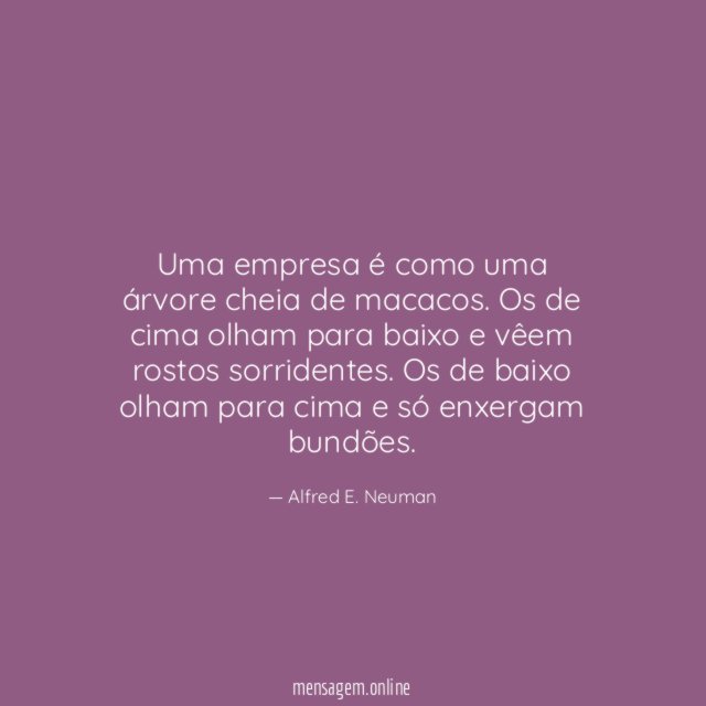 Uma empresa é como uma árvore cheia de macacos