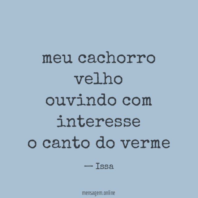 meu cachorro velho ouvindo com interesse o canto do verme