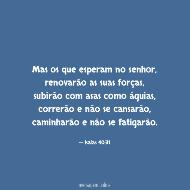 Mas os que esperam no senhor