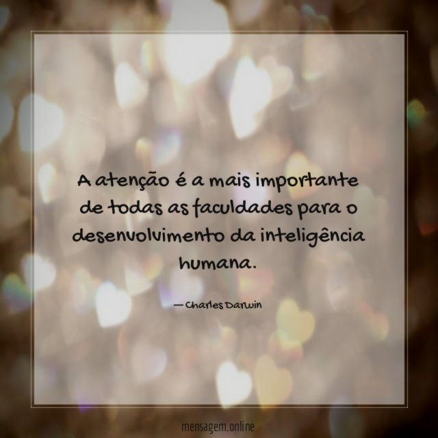 A atenção é a mais importante de todas