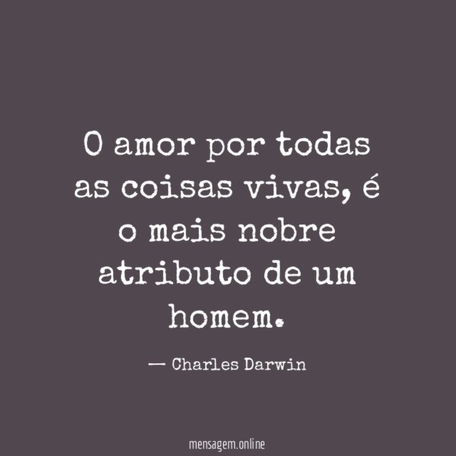 O amor por todas as coisas vivas