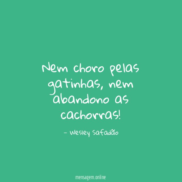 Nem choro pelas gatinhas