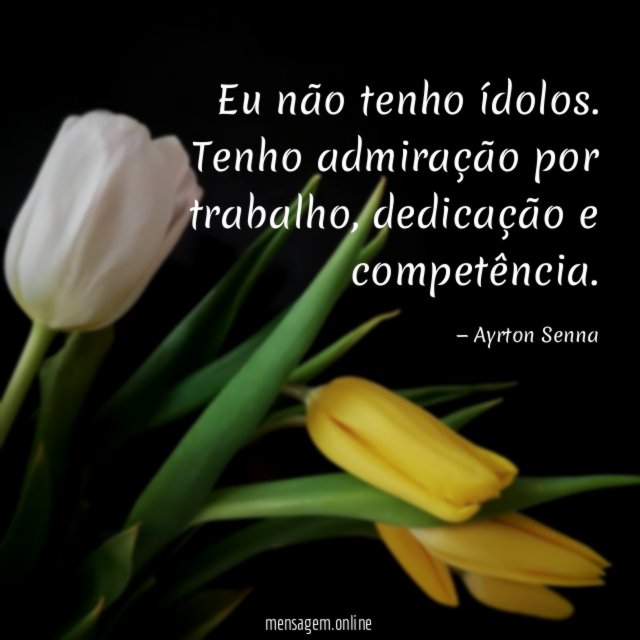 Eu não tenho ídolos