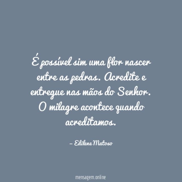 É possível sim uma flor nascer entre as pedras