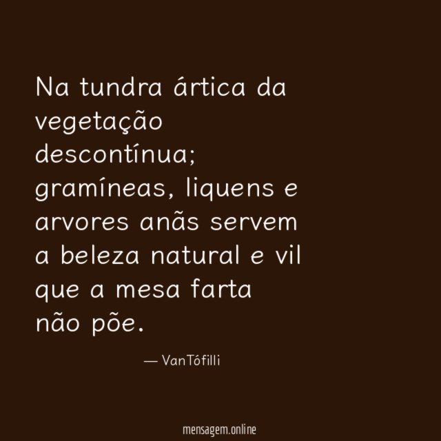 Na tundra ártica da vegetação descontínua