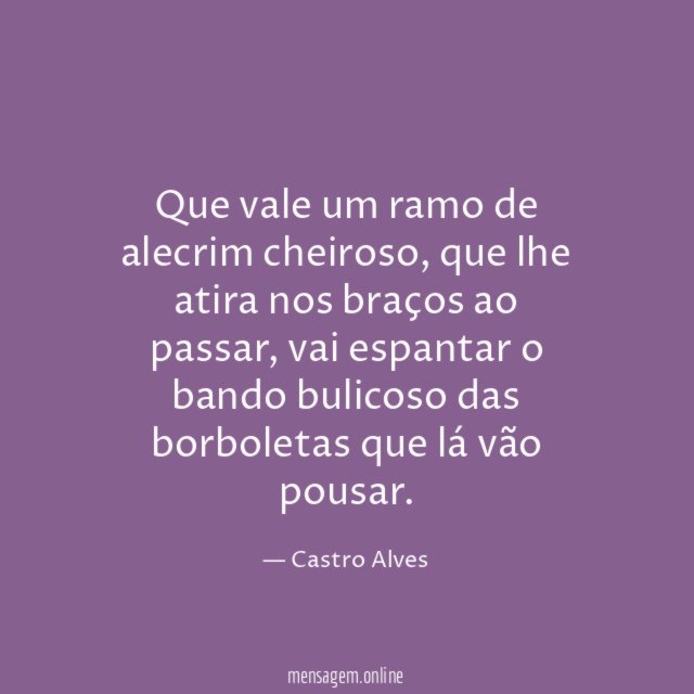 Que vale um ramo de alecrim cheiroso