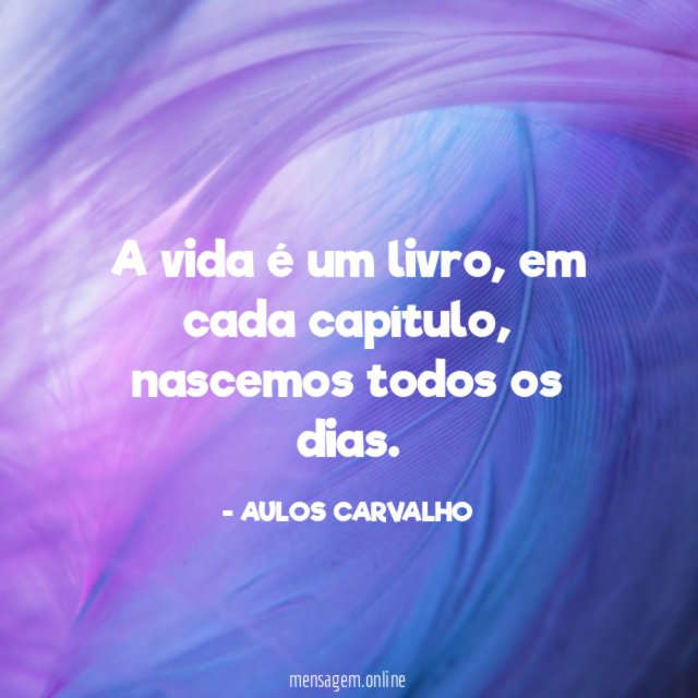 A vida é um livro
