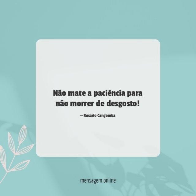 Não mate a paciência para não morrer de desgosto