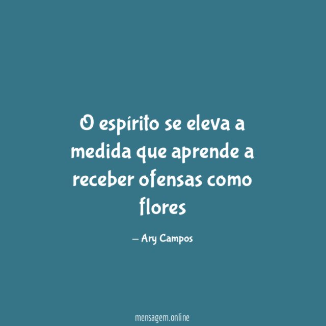 O espírito se eleva a medida que aprende