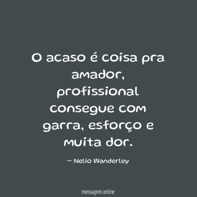 O acaso é coisa pra amador