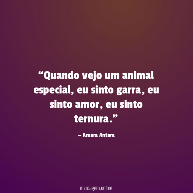 Quando vejo um animal especial