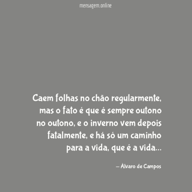Caem folhas no chão regularmente