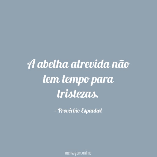 A abelha atrevida não tem tempo para tristezas