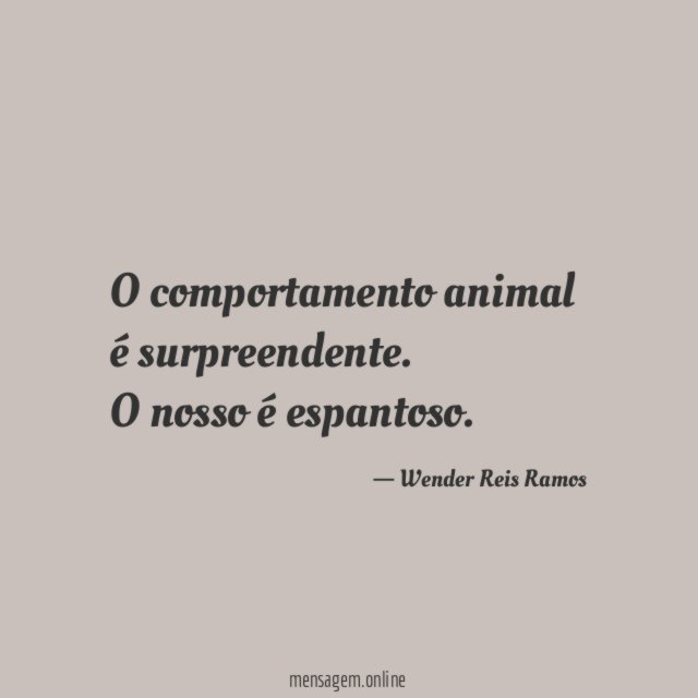 O comportamento animal é surpreendente