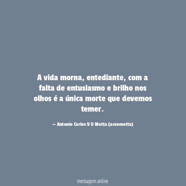 A vida morna