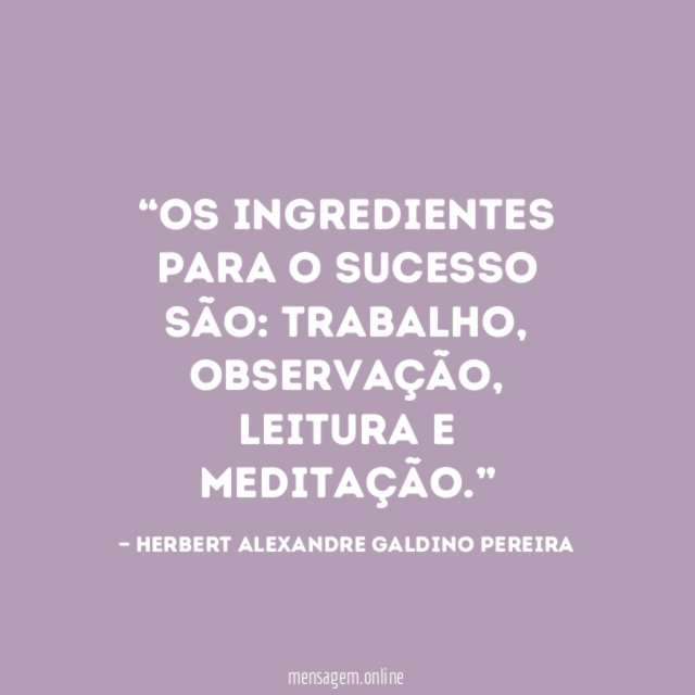 Os ingredientes para o sucesso são