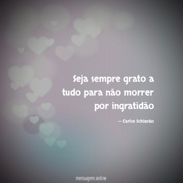 Seja sempre grato a tudo para não morrer por ingratidão"