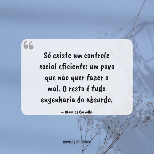 Só existe um controle social eficiente