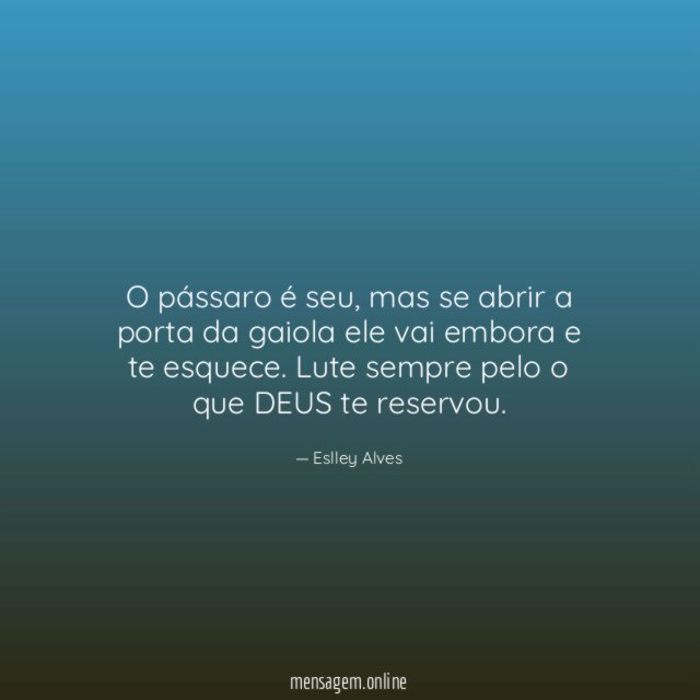 O pássaro é seu