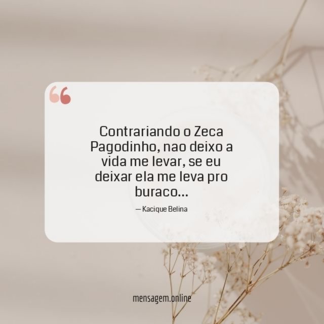 Contrariando o Zeca Pagodinho