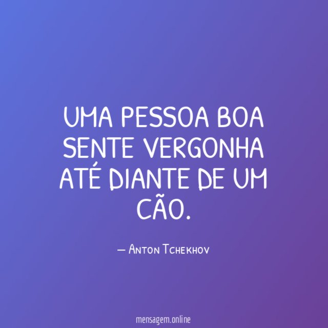 Uma pessoa boa sente vergonha até diante de um cão