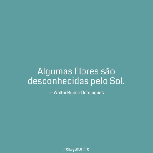 Algumas Flores são desconhecidas pelo Sol