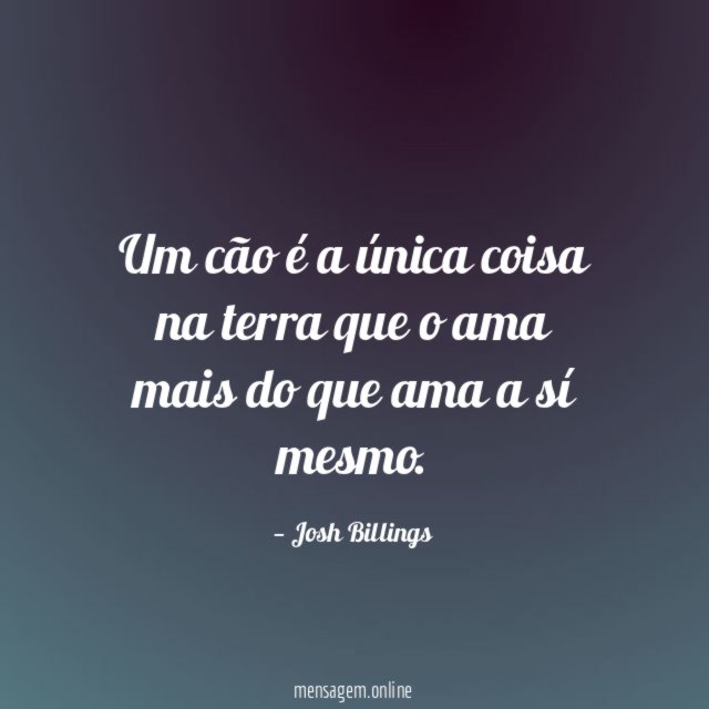 Um cão é a única coisa na terra