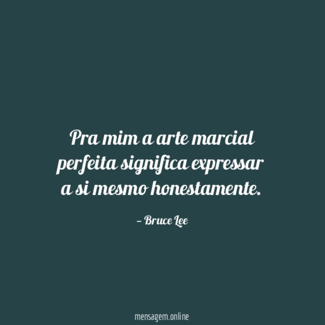Pra mim a arte marcial perfeita significa expressar a si mesmo honestamente