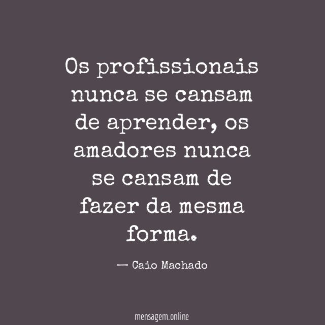 Os profissionais nunca se cansam de aprender