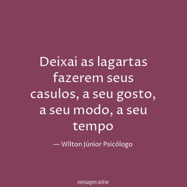 Deixai as lagartas fazerem seus casulos