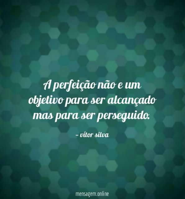 a perfeição não e um objetivo para ser