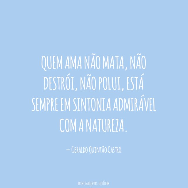 Quem ama não mata