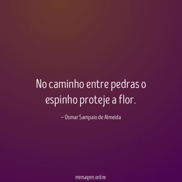 No caminho entre pedras o espinho proteje a flor