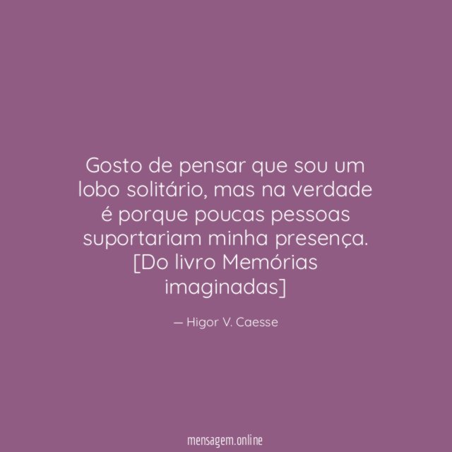 Gosto de pensar que sou um lobo solitário