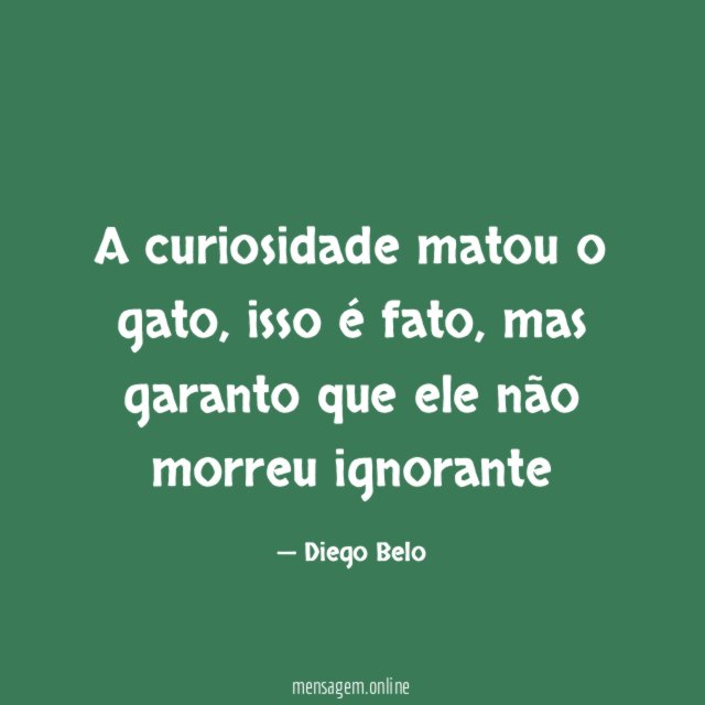 A curiosidade matou o gato