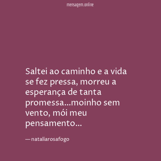 saltei ao caminho e a vida se fez pressa