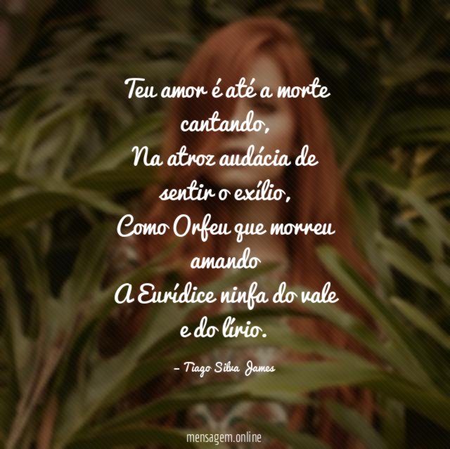 Teu amor é até a morte cantando