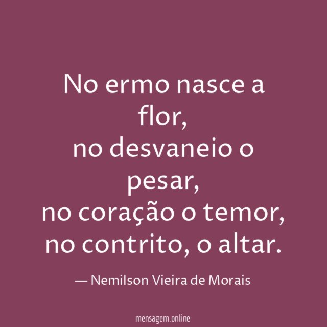 No ermo nasce a flor