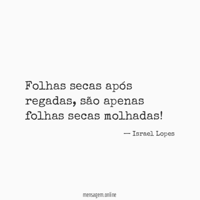 Folhas secas após regadas
