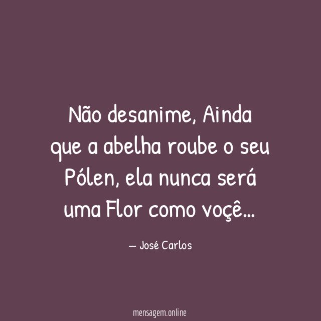 Não desanime