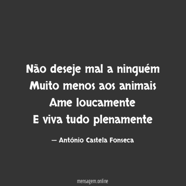 Não deseje mal a ninguém Muito menos aos animais Ame