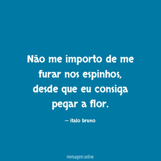 Não me importo de me furar nos espinhos