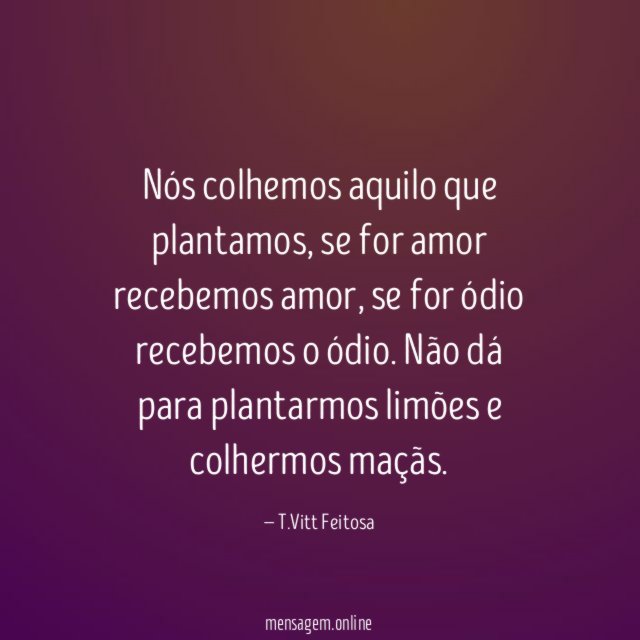 Nós colhemos aquilo que plantamos