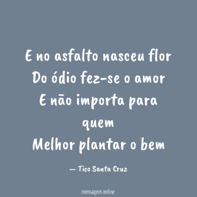 E no asfalto nasceu flor Do ódio fez-se