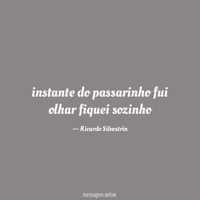 instante do passarinho fui olhar fiquei sozinho