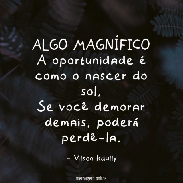 ALGO MAGNÍFICO